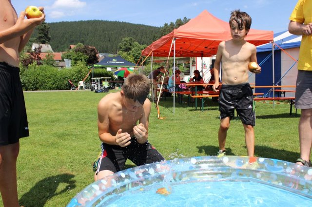 HSVFunGames_2015_063