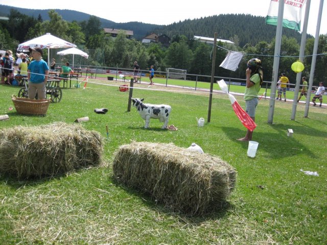 HSVFunGames_2015_116