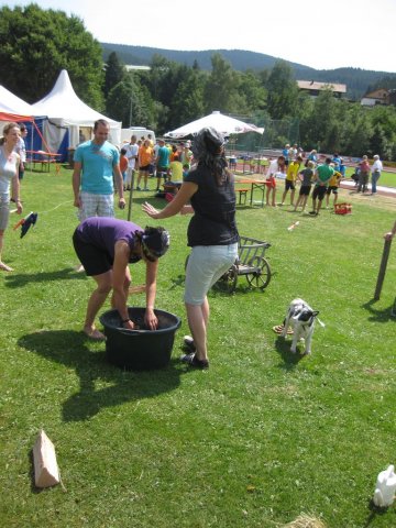 HSVFunGames_2015_166