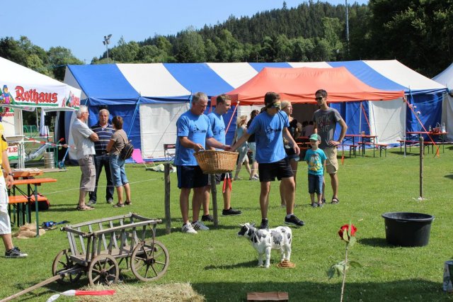 HSVFunGames_2015_191