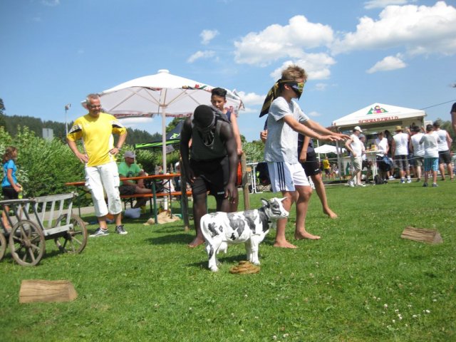 HSVFunGames_2015_211