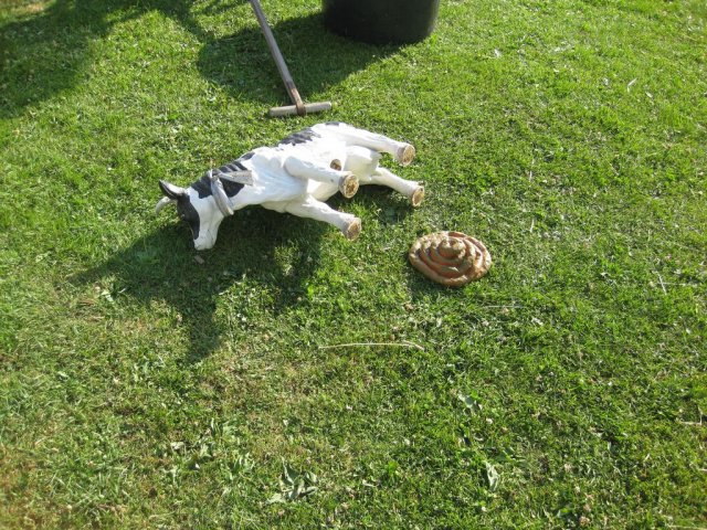 HSVFunGames_2015_422