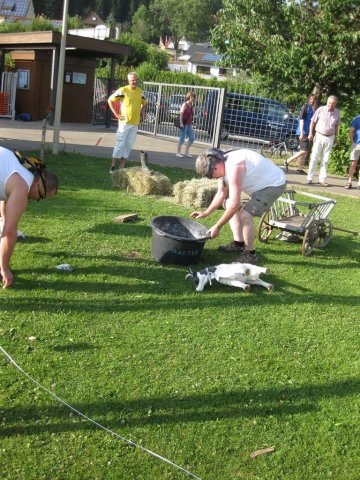 HSVFunGames_2015_431